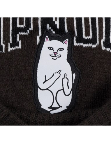 Gorro Ripndip Lord Fire Spirit - Negro