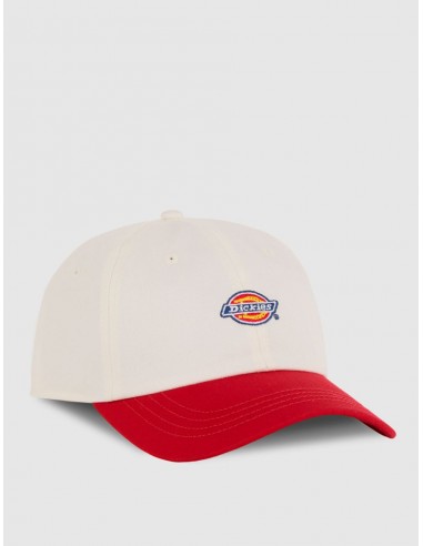 Gorra Dickies Hardwick 2 Tone -...