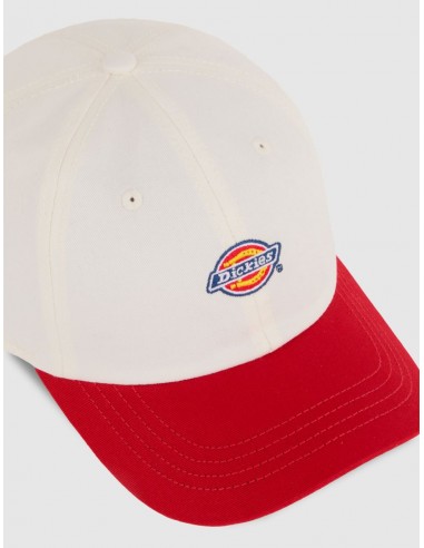 Gorra Dickies Hardwick 2 Tone -...