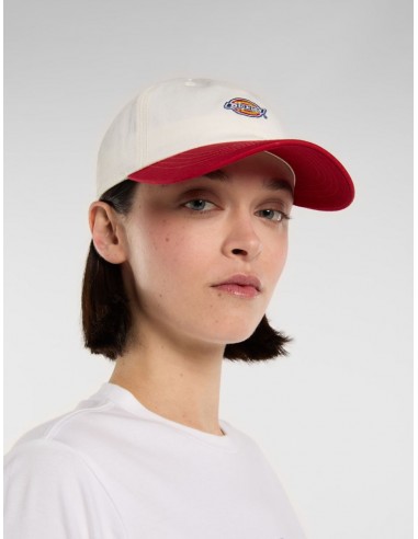 Gorra Dickies Hardwick 2 Tone -...