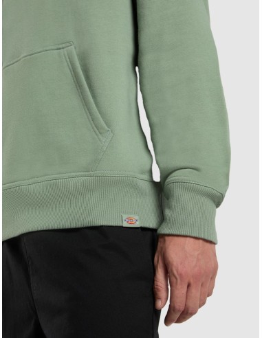 Dickies Hood Sweatshirt Parrotsville...