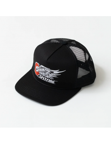 Gorra Spitfire Classic Wing Snapback...