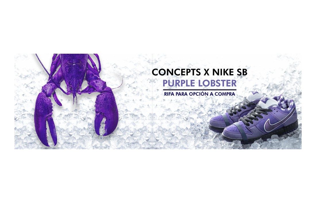 Formulario Nike SB Dunk Purple Lobster 